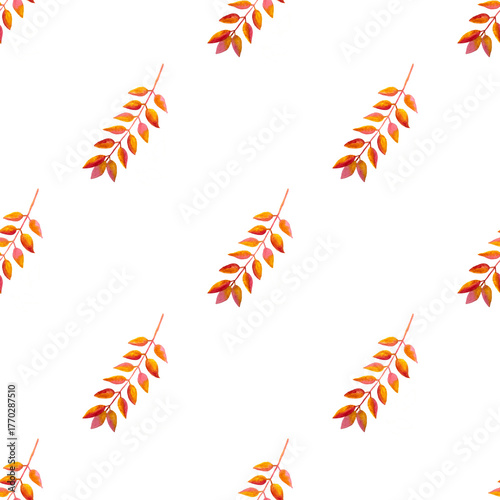 seamless pattern of orange autumn leaves, hand drawn watercolor elements, isolated on white background