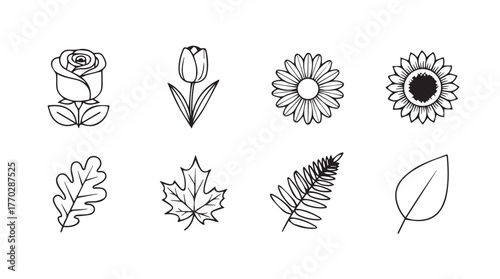 Hand drawn botanical elements set rose tulip sunflower fern leaf oak maple silhouette