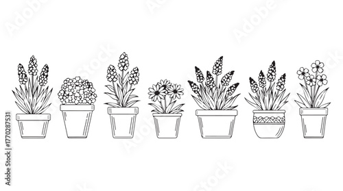 Collection of hand-drawn potted plants and flowers line art simple design silhouette