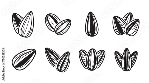 Hand drawn sunflower seeds collection simple line art food ingredient natural organic healthy snack seeds silhouette