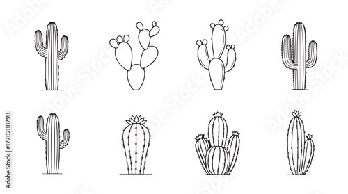 Diverse hand-drawn cactus collection desert plants natural elements botanical art artistic renderings silhouette