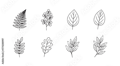 Collection of hand-drawn botanical elements simple sketchy leaves and ferns for design silhouette