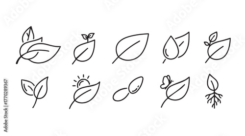 Collection of simple hand-drawn leaf icons representing nature and growth silhouette