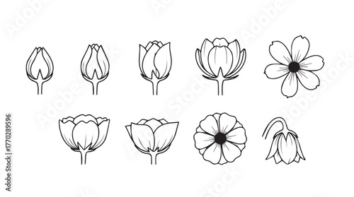 Delicate hand-drawn flower buds and blossoms collection in sketch style silhouette