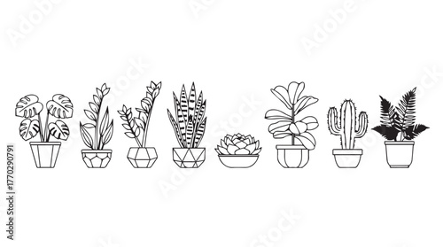 Collection of potted cactus and succulent plants artistic line drawing for botanical decor silhouette