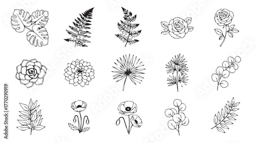 Collection of delicate botanical line art elements hand-drawn floral and leaf designs silhouette