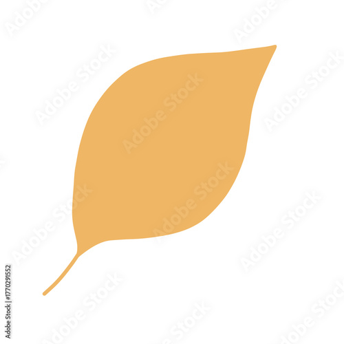 Orange Autumn Leaf shape illustration art