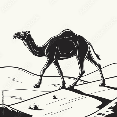 Camel Silhouette on White Background