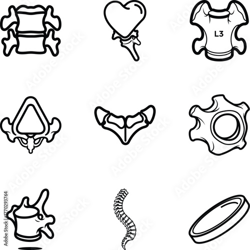 Collection of spine and vertebra bone icons