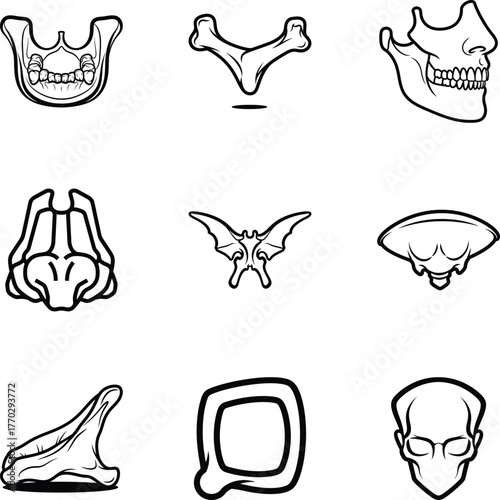 Collection of skull and mandible bone icons
