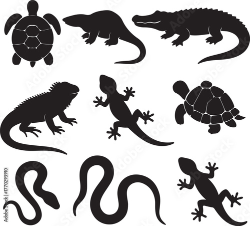 Reptile and turtle silhouettes tortoise alligator