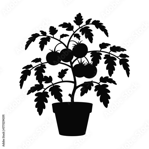 Potted Tomato Plant Silhouette Icon - Vegetable Gardening Element
