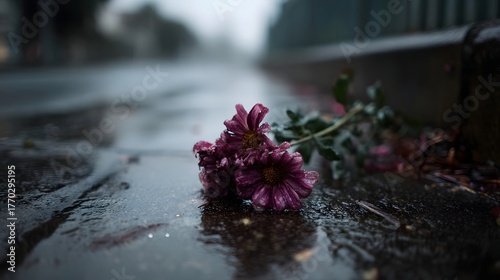 Wilted purple flowers rest on a dark wet pavement with reflections after rain