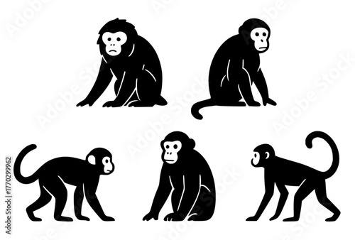 Vector Silhouette, Illustration of 5 Monkeys