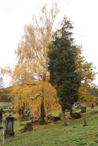 Abandoned old German cemetery in autumn.