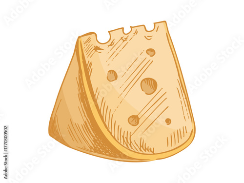 Hand drawn sketch piece of cheese. Vector black and white vintage illustration. Isolated object on white background.