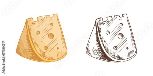 Hand drawn sketch piece of cheese. Vector black and white vintage illustration. Isolated object on white background.