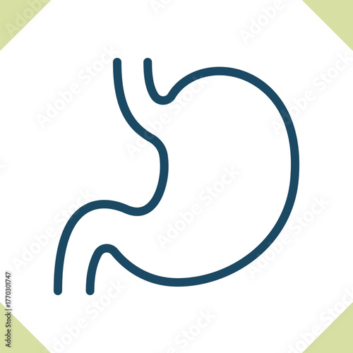 Stomach Icon