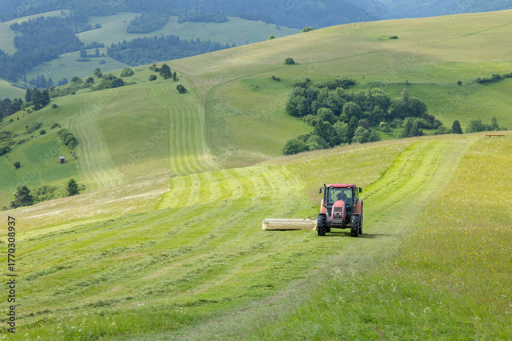 Naklejka premium Tractor harvesting hay in green fields of Presovsky kraj