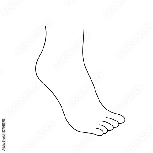 Foot with raised toe, hand drawn doodle line drawing. Bare foot outline. Vector illustration