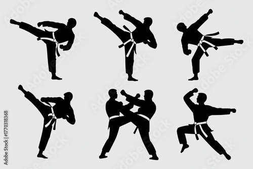 Dynamic martial artists showcasing powerful kicks and combat poses in stylized silhouettes, perfect for sports and action themes.