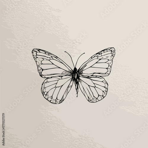 Elegant One-Line Butterfly Silhouette