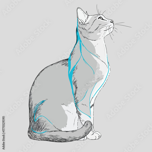 Sleek Cat Outline in Blue Hue