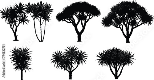 PrintSilhouette of tropical trees, exotic plant shapes, isolated botanical elements, black tree illustration for nature design, landscaping, decoration vector