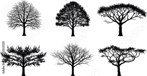 PrintSix different deciduous and acacia tree silhouettes illustration, isolated black forest trees, vector nature design collection on white background for decoration