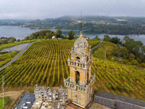 Viñedos en la Ribeira Sacra de Ourense, Galicia