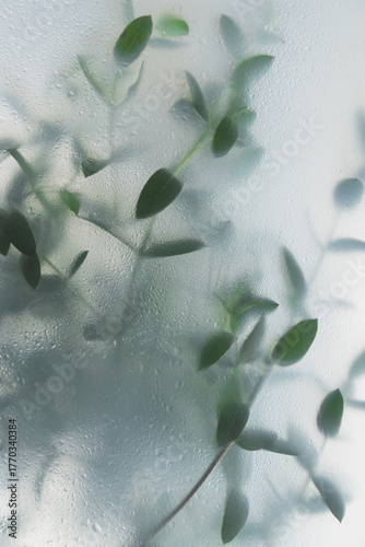 Soft green leaves behind frosted glass with natural light, minimal botanical background and calm organic mood
