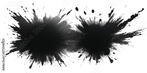 Two black ink splatters artistic abstract design element isolated on a white background