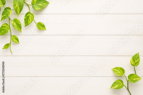 白い木の木目背景と観葉植物のナチュラルな背景素材