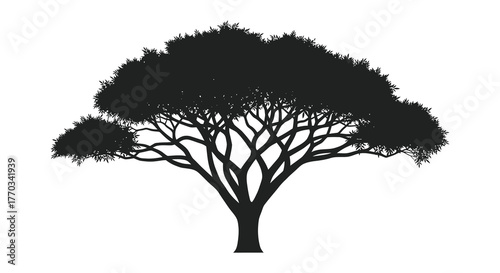 Iconic african acacia tree silhouette against a white background symbolizing nature and wildlife