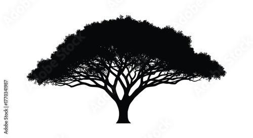 Majestic sprawling tree with intricate branches and dense foliage rendered in a striking black silhouette against a white background
