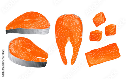 Salmon fillets, steak, and cubes seafood illustration