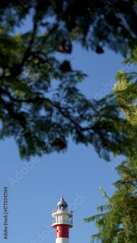 A white and red lighthouse among the treetops. Blue sky. In the small fishing village of El Rompido, Huelva. Beach and relaxation. Sun and golf. Vertical slow motion video at 4K at 50fps.