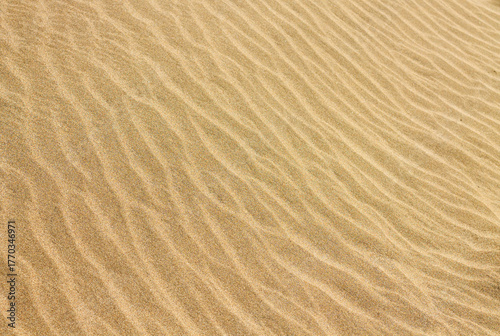 sand ripples in the sand background texture