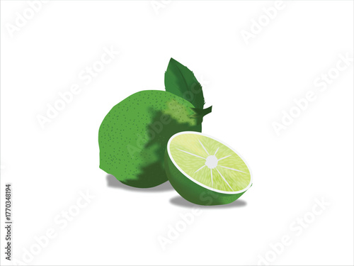 Lemon Fruit Slice Vector Illustration
