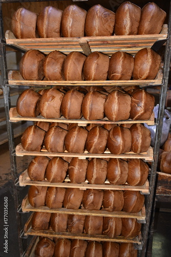 Freshly baked bread on pallets in bakery ready for sale and delivery