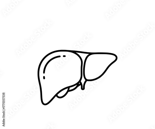 Detailed human liver organ icon, essential for health and medical applications