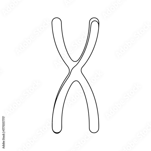 A single continuous line drawing of a chromosome, representing biology and genetics