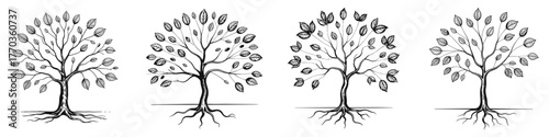 Family Tree Evolution Illustration Hand-Drawn Ancestry Tree With Roots and Branches Showing Generational Growth and Lineage