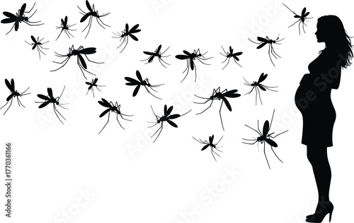Silhouette of pregnant woman surrounded by flying mosquitoes, zika virus risk, health danger, maternity protection, infection prevention concept illustration