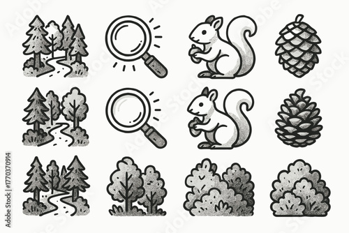 Discovery squirrel set doodle pinecone outline forest woodland icon bush handdrawn vector
