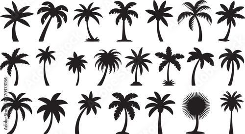 Set of silhouettes of palm trees with their unique shapes and shadows. A perfect illustration of tropical nature and vacation