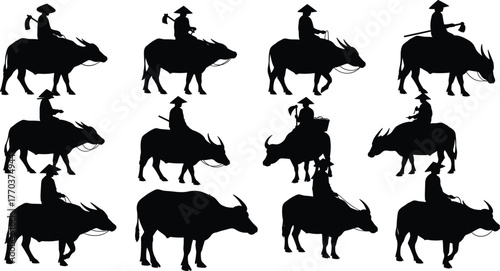Flat vector silhouette illustration of people riding water buffalo, rural farming, Asian village culture, agriculture, countryside lifestyle, livestock, traditional work
