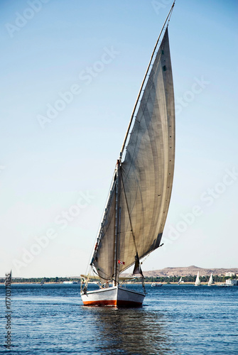 Wallpaper Mural Egyptian Fellukahs on the Nile Torontodigital.ca