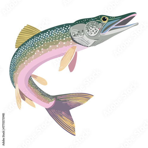 Realistic digital illustration of a colorful northern pike fish in a dynamic side view swimming motion art