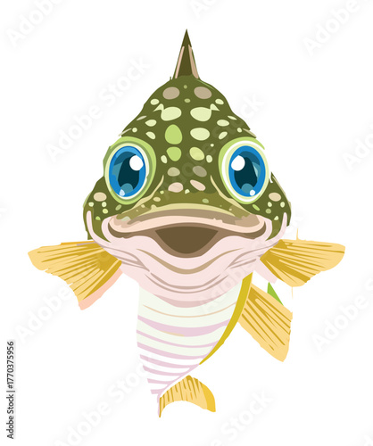 Close-up frontal portrait of a surprised or funny freshwater fish with large, expressive eyes and thick scales